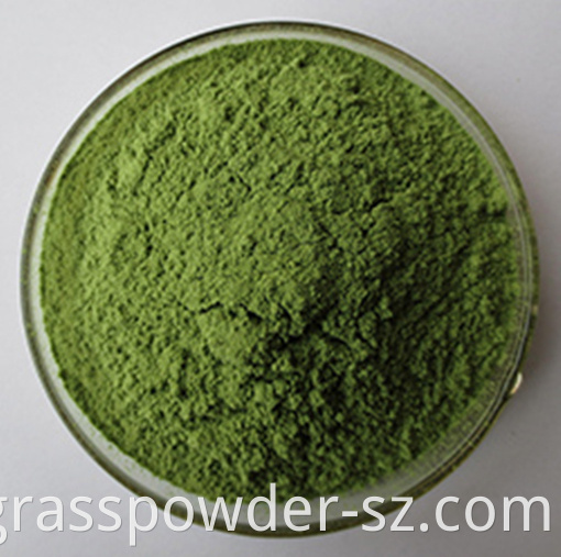 Organic Alfalfa Juice Green Powder